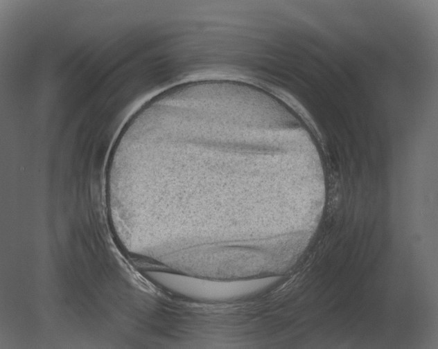 X0000080680996200701121654