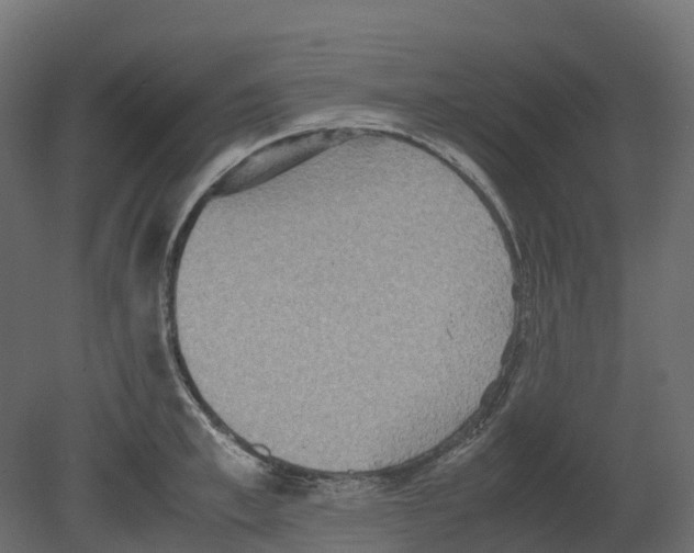 X0000080680997200701121654