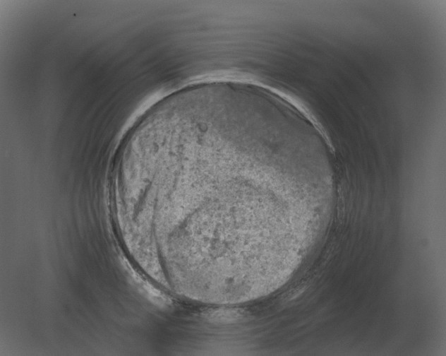 X0000080680998200701121654