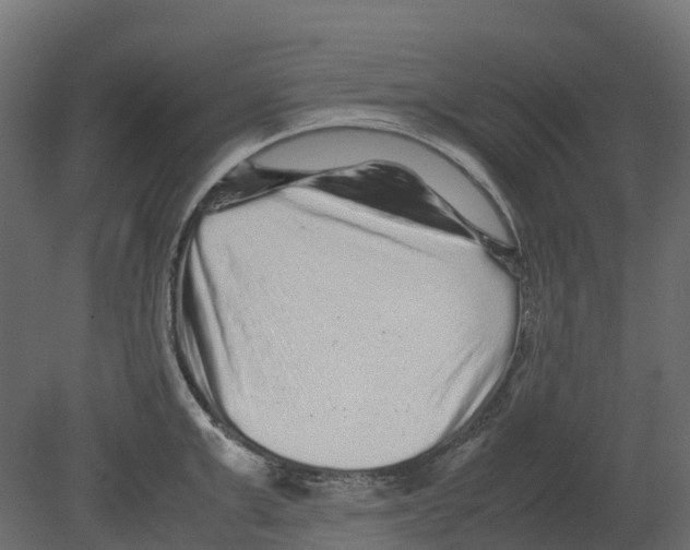 X0000080680999200701121654