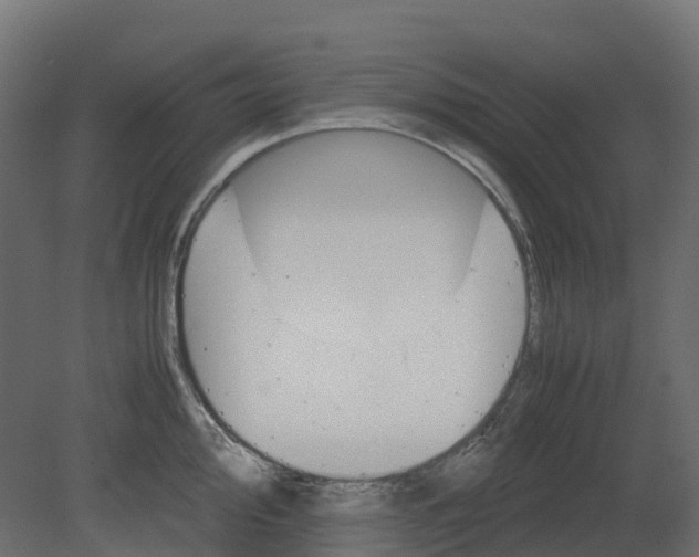 X0000080681000200701121654