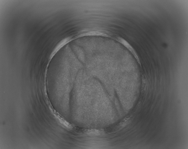 X0000080681002200701121654