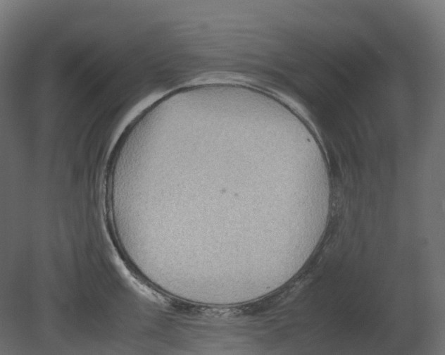 X0000080681003200701121654