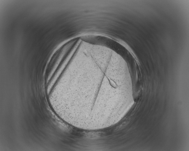 X0000080681004200701121654