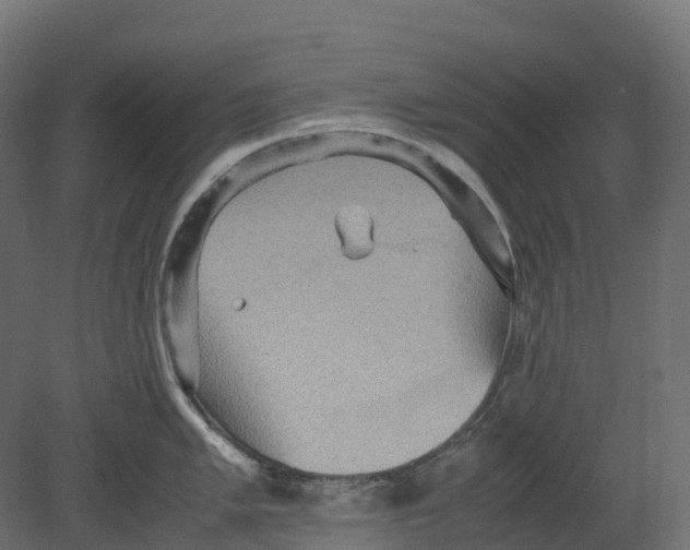 X0000080681005200701121654