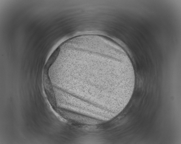 X0000080681006200701121654