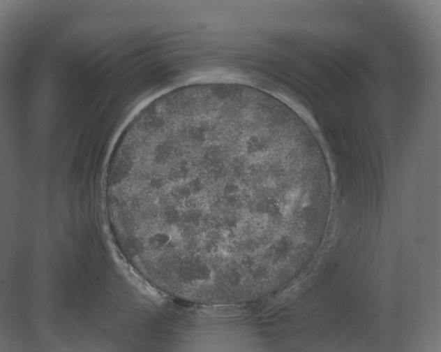 X0000080681008200701121654