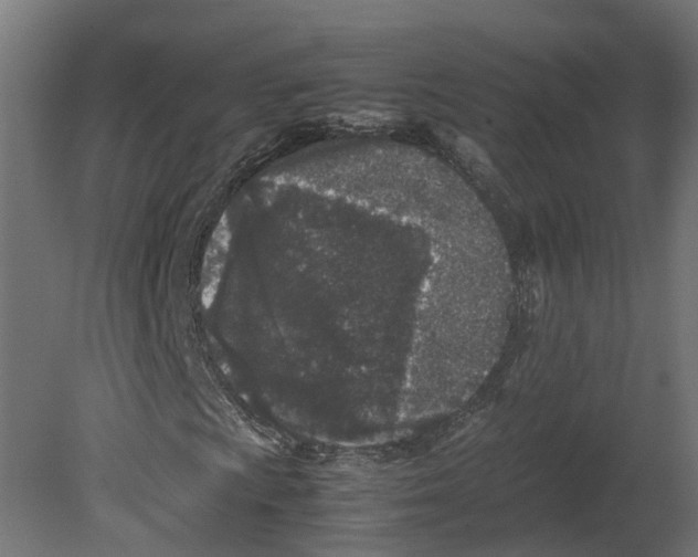 X0000080681009200701121653