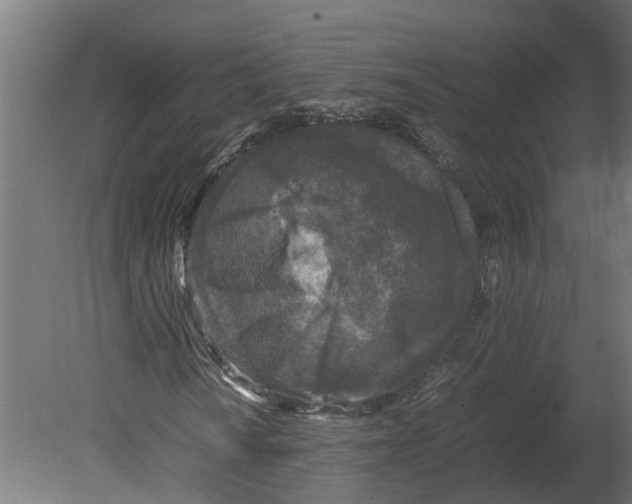 X0000080681010200701121653