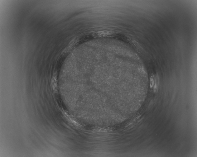 X0000080681011200701121653