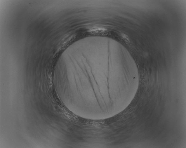 X0000080681013200701121653