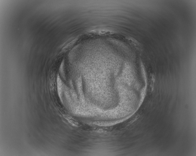 X0000080681014200701121653