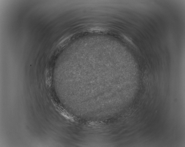 X0000080681015200701121653