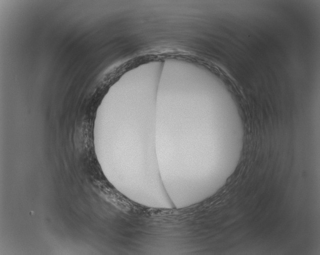 X0000080681016200701121653