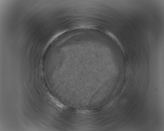 X0000080681019200701121653