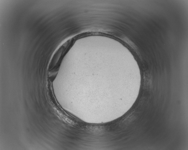 X0000080681020200701121653