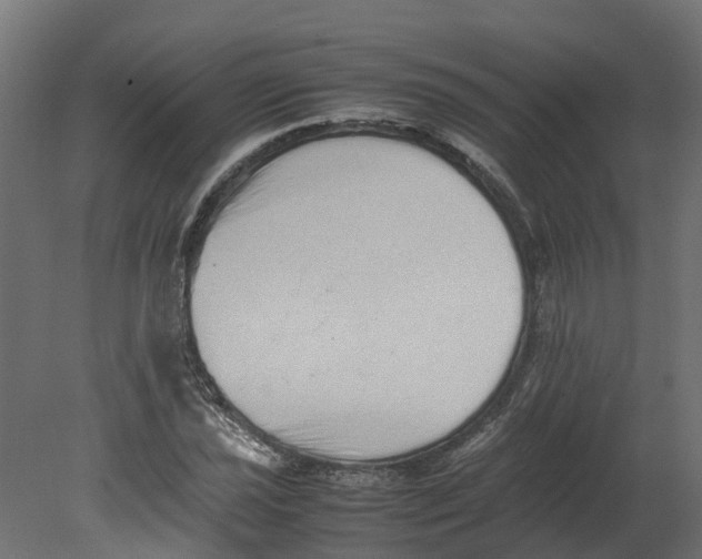 X0000080681021200701121653