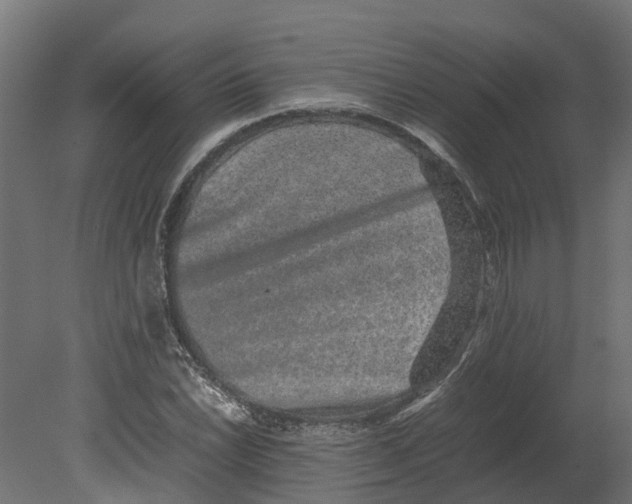 X0000080681022200701121653