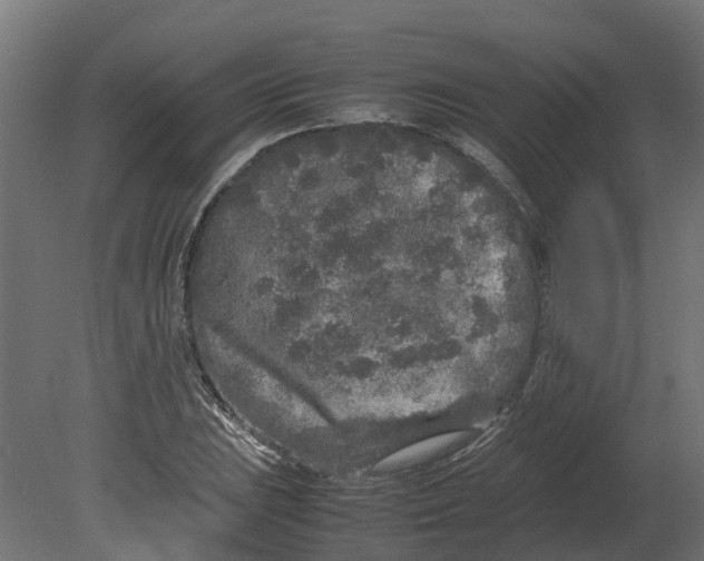 X0000080681023200701121653