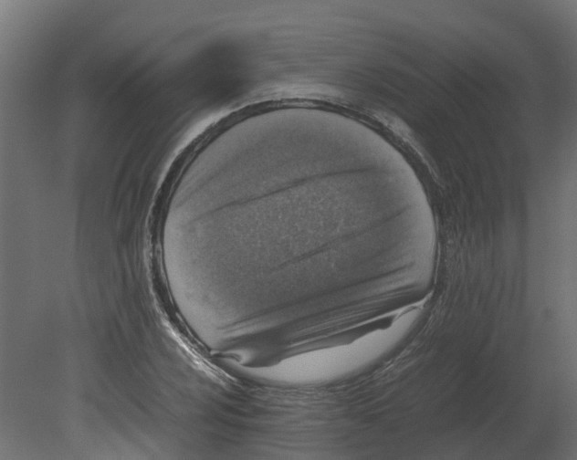 X0000080681024200701121653