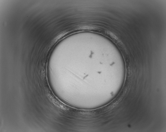 X0000080681025200701121653