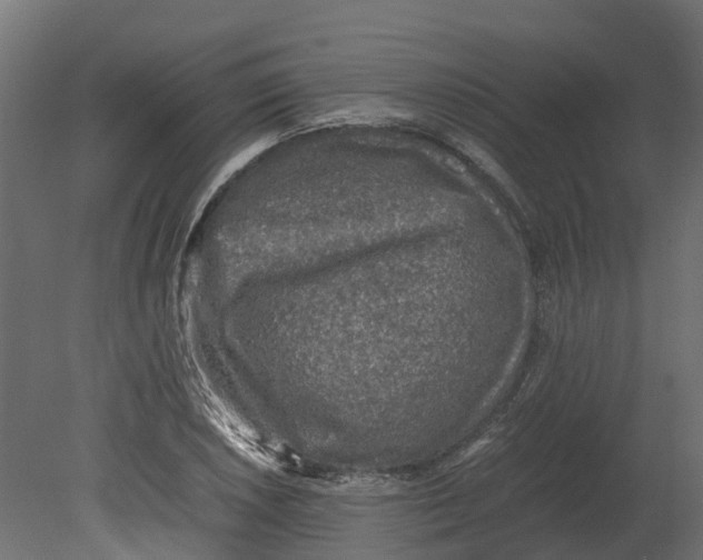 X0000080681026200701121653