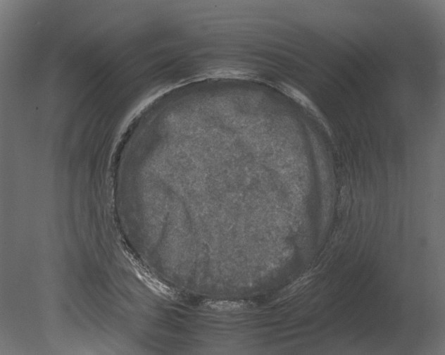 X0000080681027200701121653