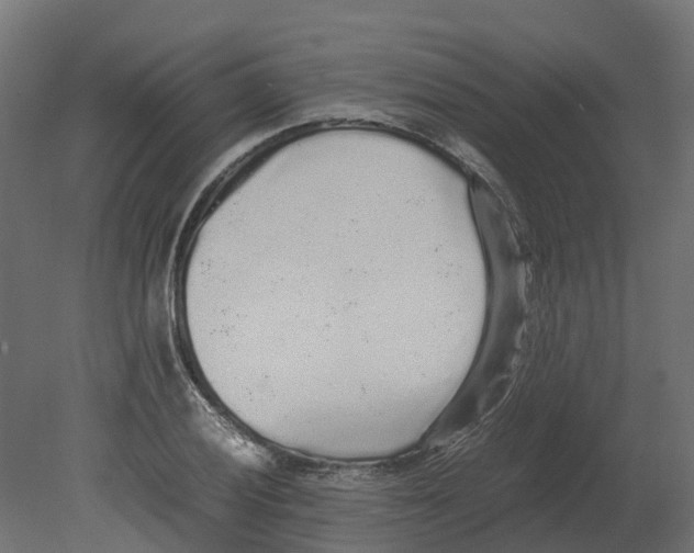 X0000080681028200701121653