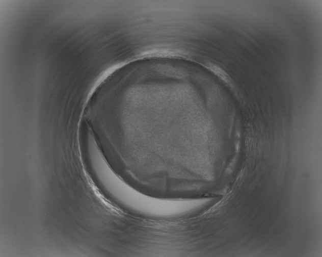 X0000080681030200701121653