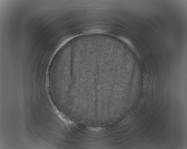 X0000080681031200701121653