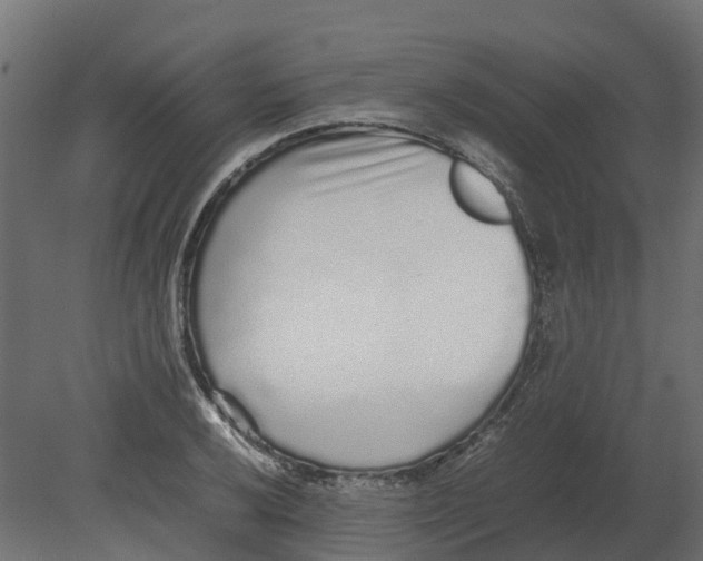 X0000080681032200701121653