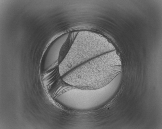 X0000080681034200701121653