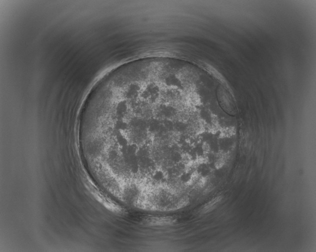 X0000080681035200701121653