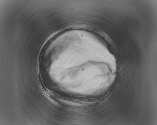 X0000080681036200701121653