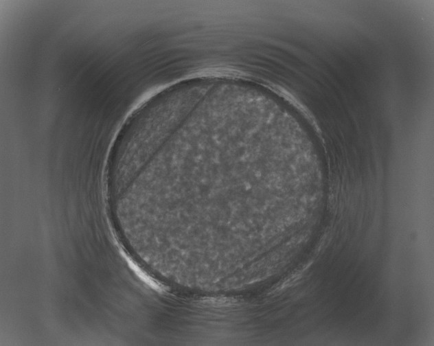 X0000080681037200701121653