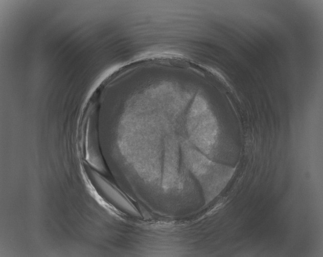 X0000080681038200701121653