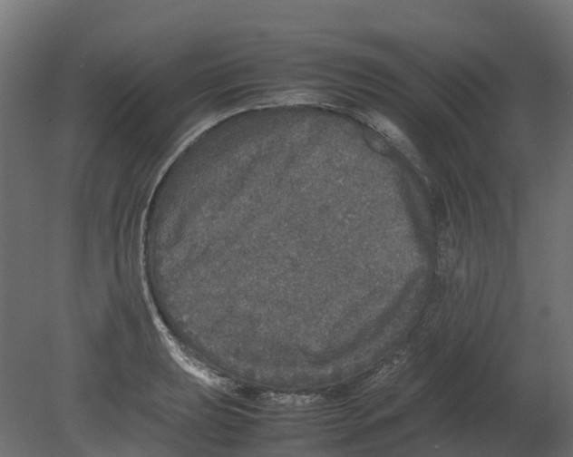 X0000080681039200701121653