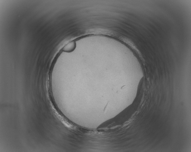 X0000080681040200701121653