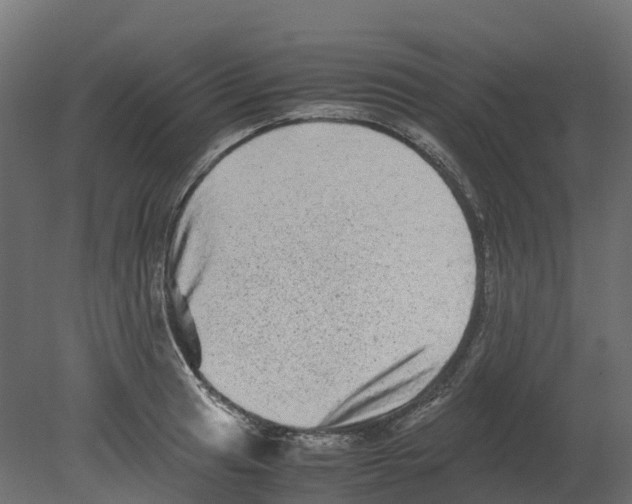 X0000080681041200701121653