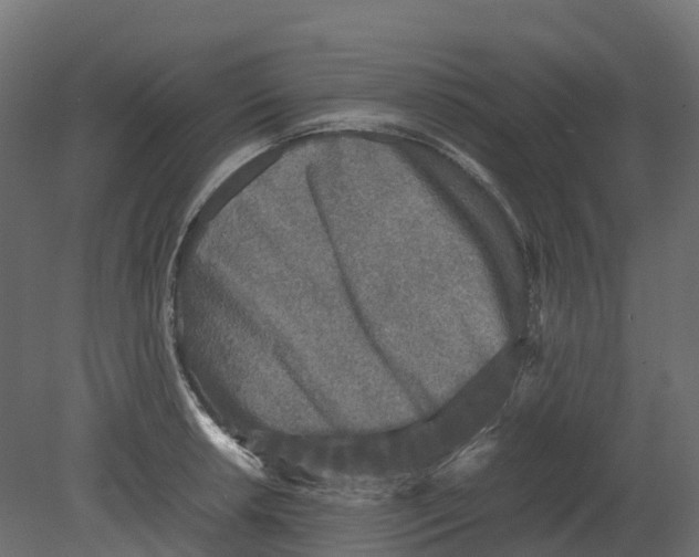 X0000080681042200701121653