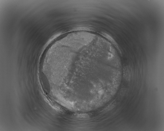 X0000080681043200701121653