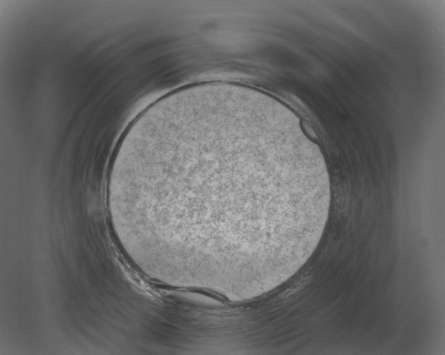 X0000080681044200701121653