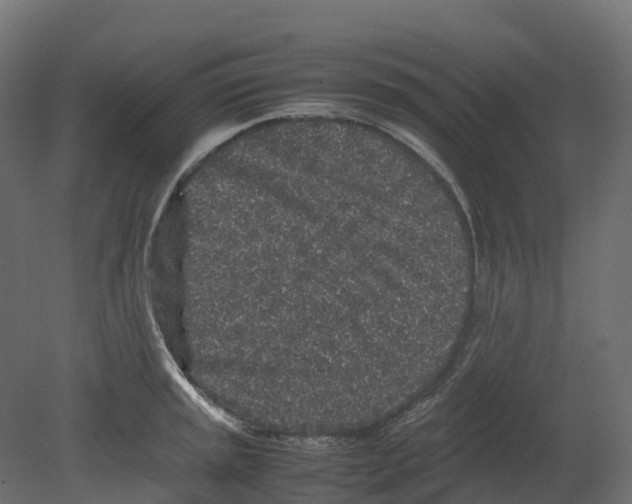 X0000080681045200701121653