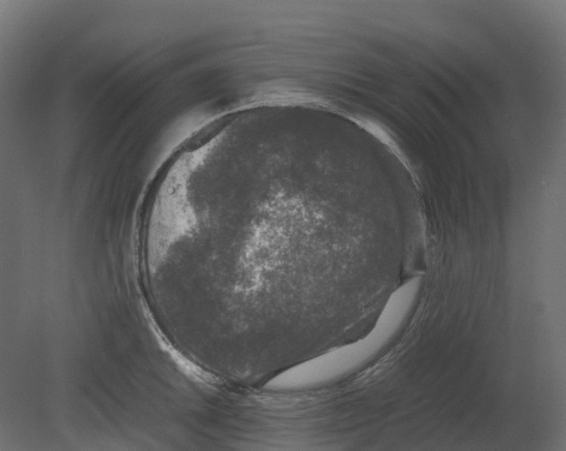 X0000080681046200701121653