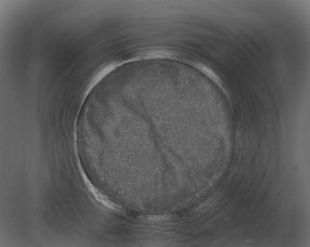 X0000080681047200701121653