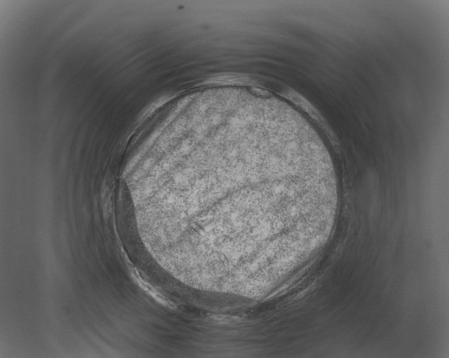 X0000080681049200701121654