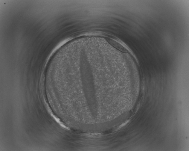 X0000080681053200701121654