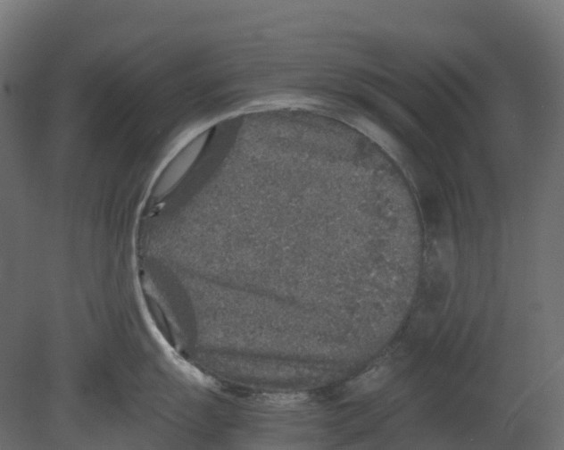 X0000080681055200701121654