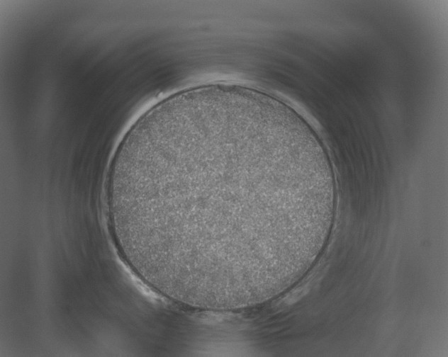 X0000080681056200701121654