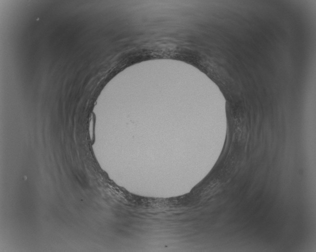 X0000080681057200701121653